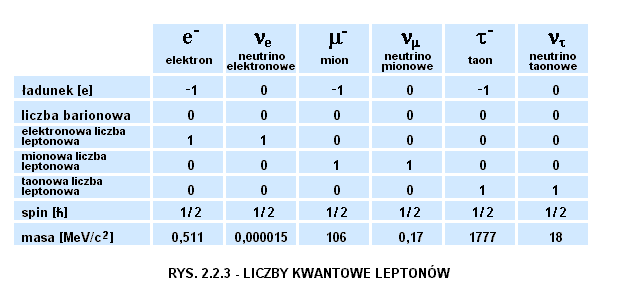 Liczba Protonów I Elektronów Magnezu CZĄSTKI FUNDAMENTALNE, CZĄSTKI ELEMENTARNE